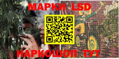 прущие грибы Новодвинск