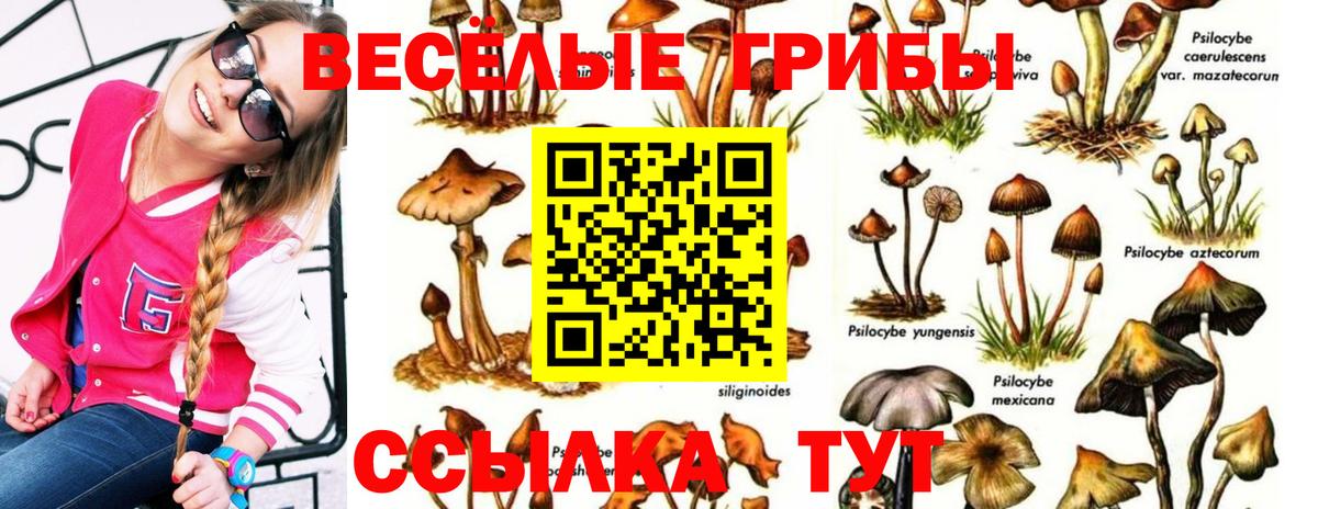 Псилоцибиновые грибы мухоморы Татарск
