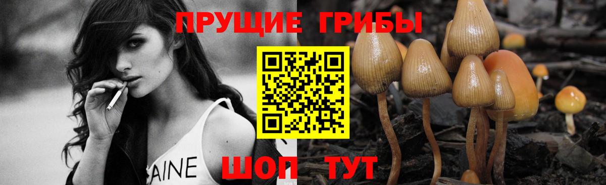 Татарск  Галлюциногенные грибы мухоморы  Галлюциногенные грибы мухоморы  Вход с VPN 
