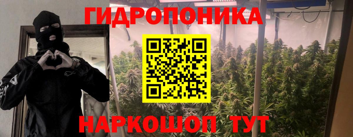 МАРИХУАНА семена Татарск